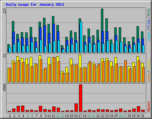 Daily usage for January 2013