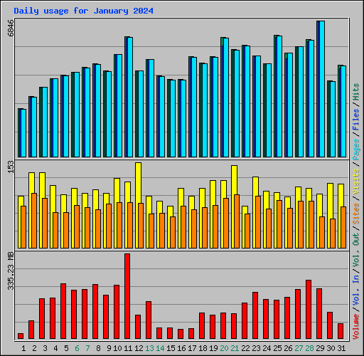 Daily usage for January 2024