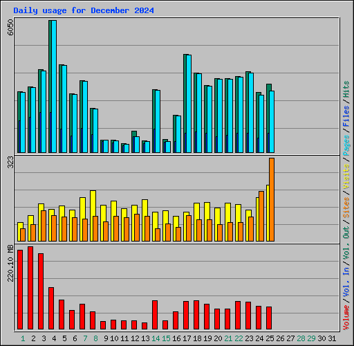 Daily usage for December 2024