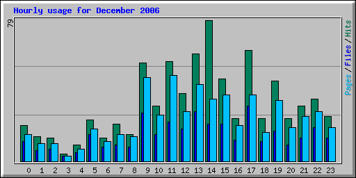 Hourly usage for December 2006