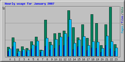 Hourly usage for January 2007