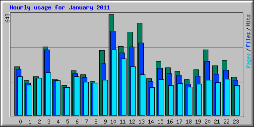 Hourly usage for January 2011