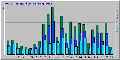 Hourly usage for January 2013