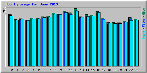 Hourly usage for June 2013