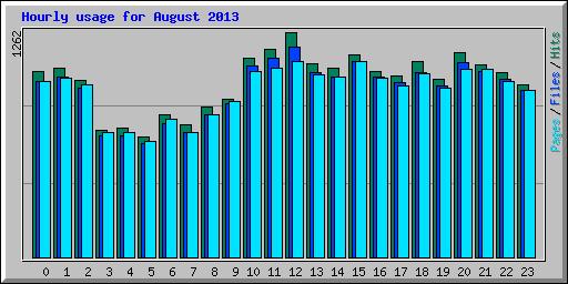 Hourly usage for August 2013