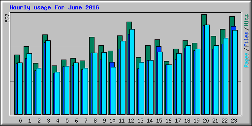 Hourly usage for June 2016