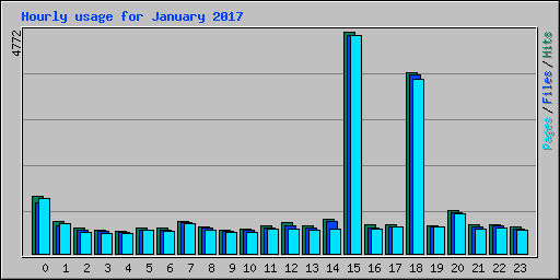 Hourly usage for January 2017