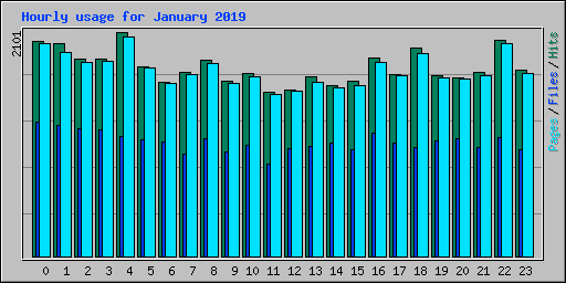 Hourly usage for January 2019