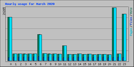 Hourly usage for March 2020