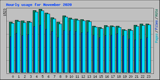 Hourly usage for November 2020