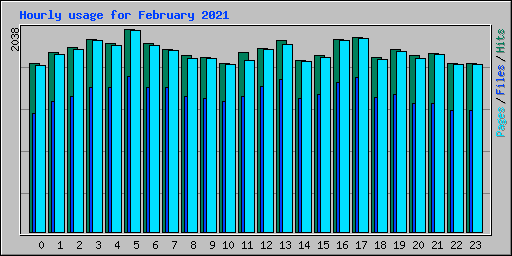 Hourly usage for February 2021