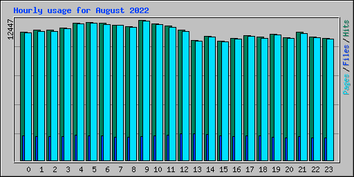 Hourly usage for August 2022