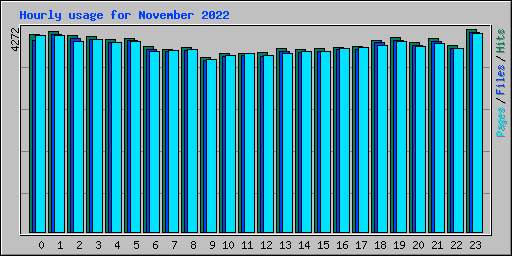 Hourly usage for November 2022