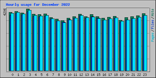 Hourly usage for December 2022