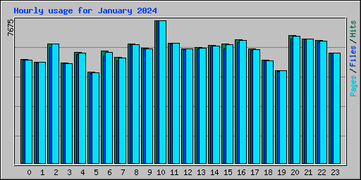 Hourly usage for January 2024