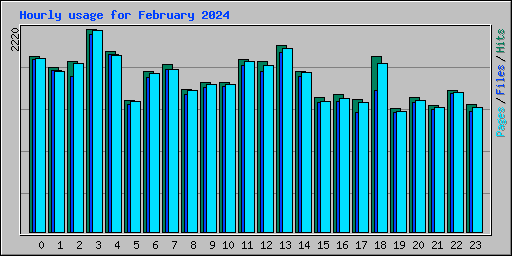 Hourly usage for February 2024