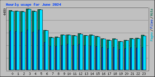 Hourly usage for June 2024