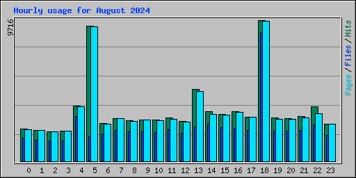 Hourly usage for August 2024