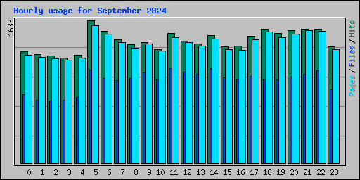 Hourly usage for September 2024