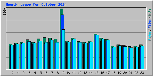 Hourly usage for October 2024