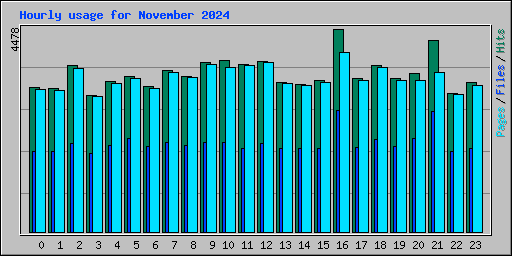 Hourly usage for November 2024