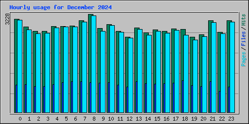 Hourly usage for December 2024