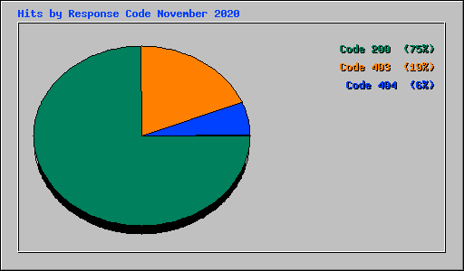 Hits by Response Code November 2020