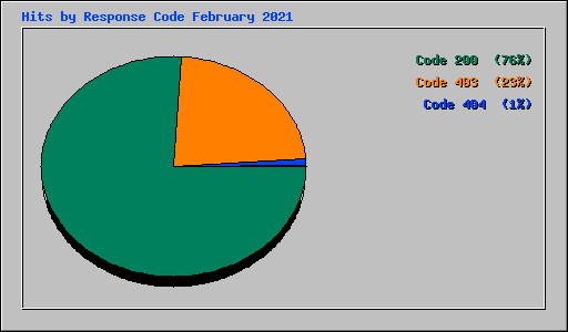 Hits by Response Code February 2021