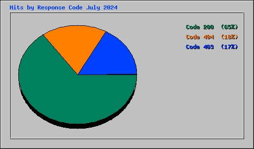 Hits by Response Code July 2024