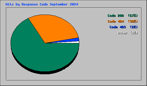 Hits by Response Code September 2024