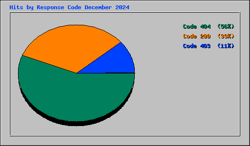 Hits by Response Code December 2024