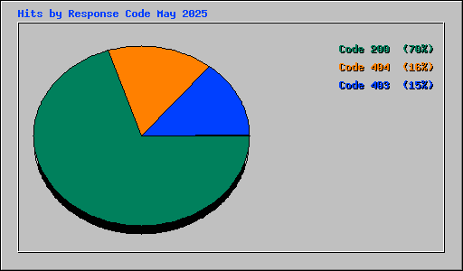 Hits by Response Code May 2025
