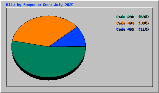Hits by Response Code July 2025