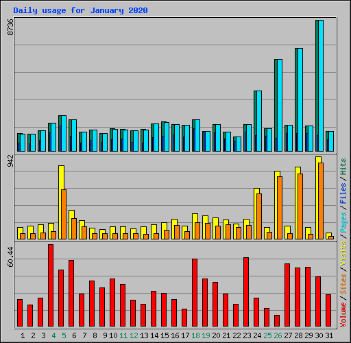 Daily usage for January 2020