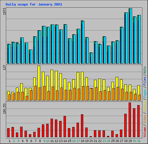 Daily usage for January 2021