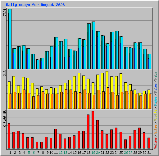 Daily usage for August 2023