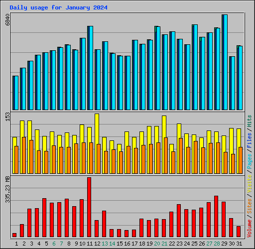 Daily usage for January 2024