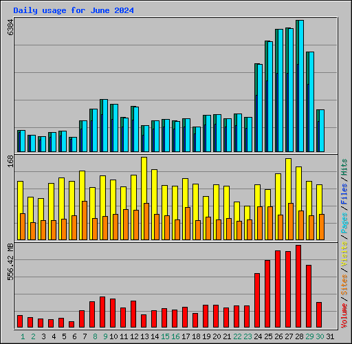 Daily usage for June 2024