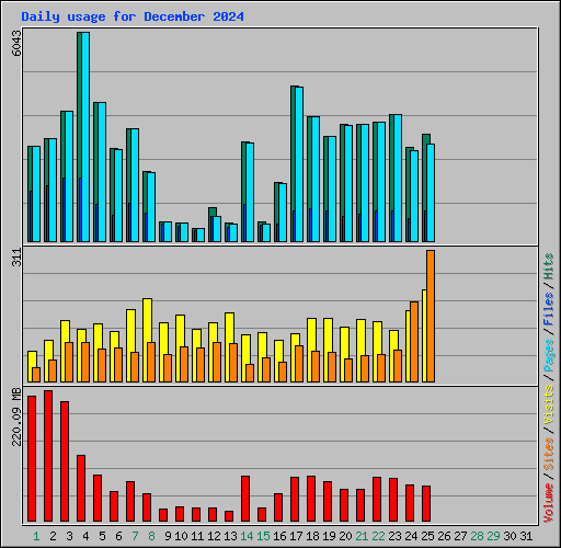 Daily usage for December 2024