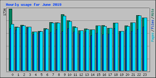 Hourly usage for June 2019