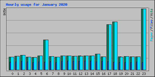 Hourly usage for January 2020