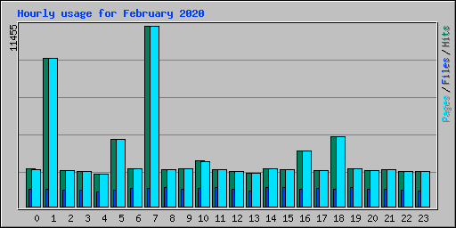 Hourly usage for February 2020