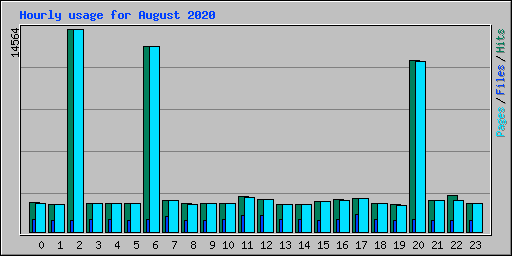 Hourly usage for August 2020