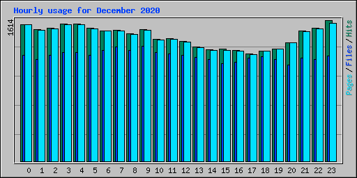 Hourly usage for December 2020