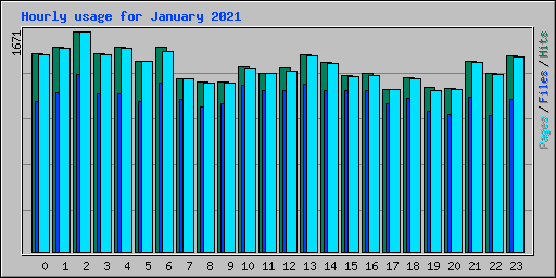 Hourly usage for January 2021