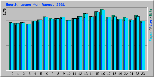 Hourly usage for August 2021