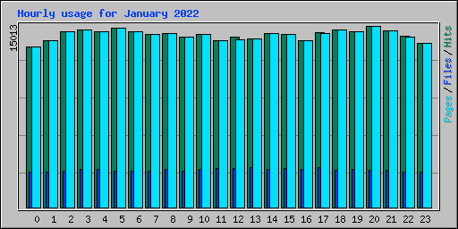 Hourly usage for January 2022