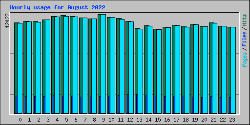 Hourly usage for August 2022