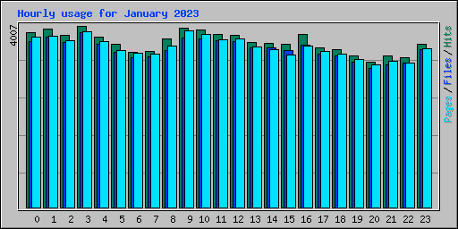 Hourly usage for January 2023