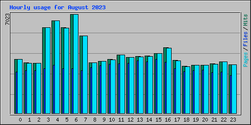 Hourly usage for August 2023